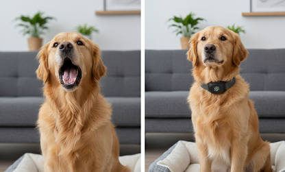 Noctis™ Smart-Sense Bark Silencer