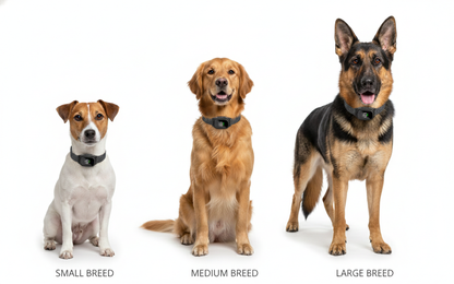 Noctis™ Smart-Sense Bark Silencer